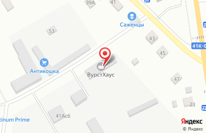 Анти-кошка.РФ на карте