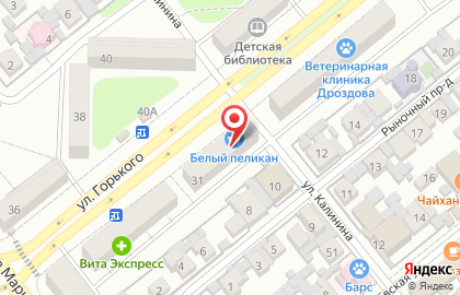Магазин Пеликан на улице Горького, 31 на карте