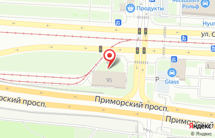 Vianor на Приморском проспекте на карте
