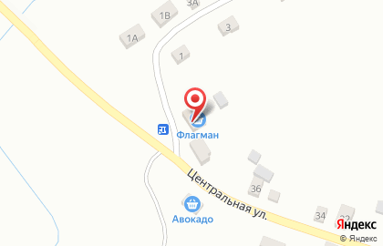 Продуктовый магазин Флагман на Центральной улице на карте