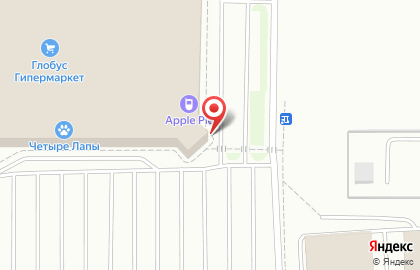 Автоматизированный пункт выдачи PickPoint на Суздальском проспекте на карте