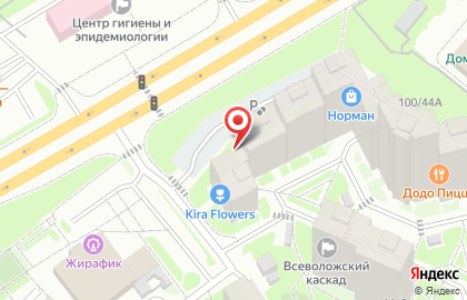 Аптека Нелли на карте