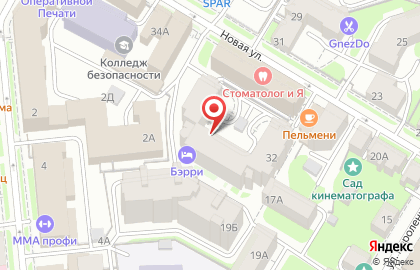 ОАО Банкомат, Промсвязьбанк на Новой улице на карте