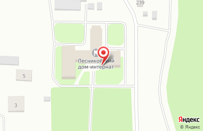 Лесниковский дом-интернат для престарелых и инвалидов на карте