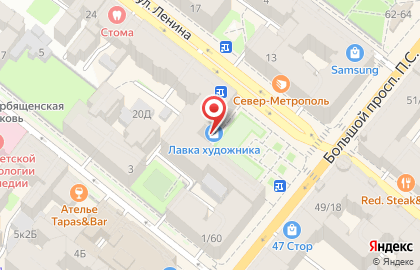 Художественный салон-мастерская Лавка Художника в Петроградском районе на карте