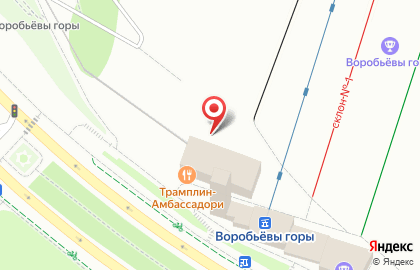 Столица на улице Косыгина на карте