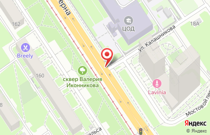 Транспортная компания в Московском районе на карте