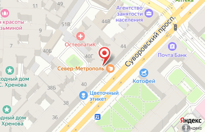Производственная компания Натяжные потолки Санкт-Петербурга на Суворовском проспекте на карте