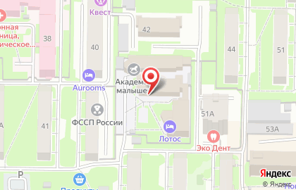 Международная сеть центров по развитию эмоционального интеллекта ЭИ дети на Пионерском проспекте на карте