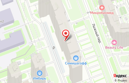 Академия детского развития и танца в Санкт-Петербурге на карте