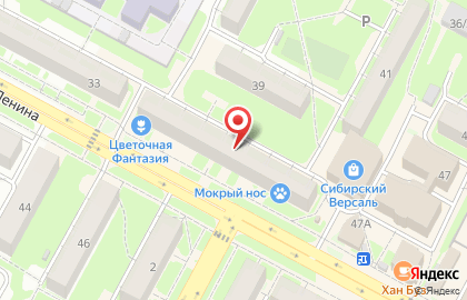Производственно-торговая компания Ай да печка! на улице Ленина на карте