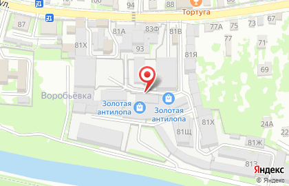 Магазин подарков и сувениров Золотая антилопа на Первомайской улице на карте