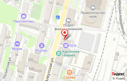 Санкт-Петербургская школа телевидения во Владивостоке на карте