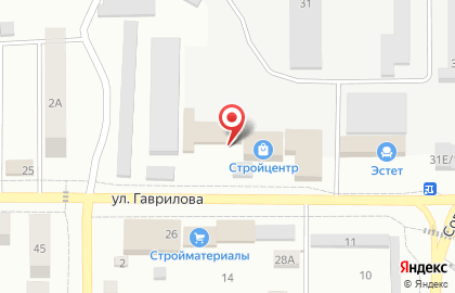 Магазин бытовой техники на ул. Гаврилова, 31/2 на карте