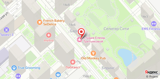 Студия Елены Третьяковой в Ильменском проезде на карте