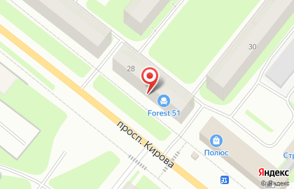 Компания Форест 51 на карте