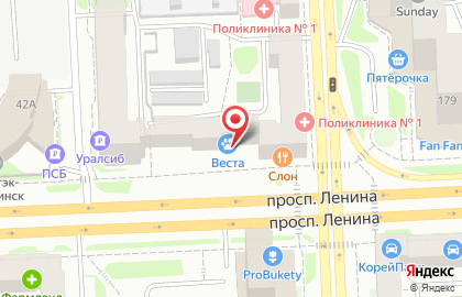 Ветеринарная клиника Веста на проспекте Ленина на карте
