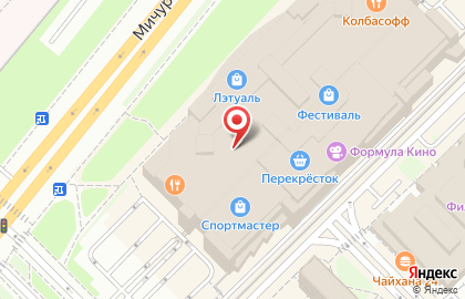 Салон аксессуаров для волос ElitZakolka на Мичуринском проспекте на карте