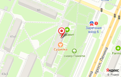 Служба заказа товаров аптечного ассортимента Аптека.ру на проспекте Ленина на карте
