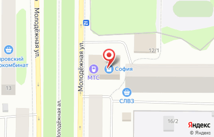 Торговый дом София, торговый дом на Молодёжной улице на карте