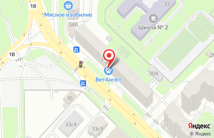 Ветеринарный центр ВетАнгел на карте