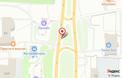 Kit на карте