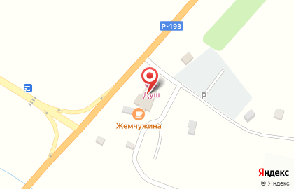 Кафе Жемчужина в Тамбове на карте
