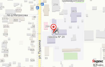 Средняя общеобразовательная школа №20 на улице Пушкина на карте