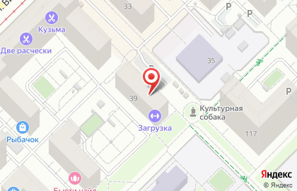 Магазин Стрекоза на улице Вильгельма де Геннина на карте
