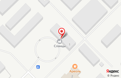 Завод Сланцы на карте