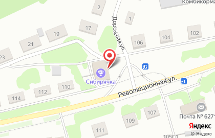 Аптека Мир здоровья на Революционной улице на карте