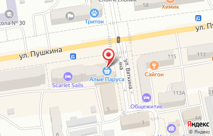 Магазин спортивных товаров Пан Спортсмен на улице Пушкина на карте