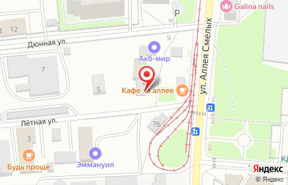 Магазин разливного пива Пивной в Московском районе на карте