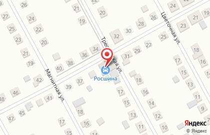 Росшина в Железногорске на карте
