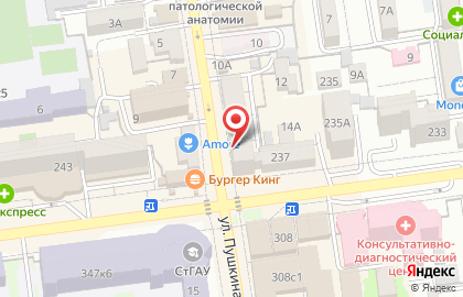 Магазин тканей и швейной фурнитуры на улице Пушкина на карте
