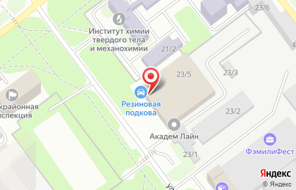 Автосервис Резиновая подкова в Советском районе на карте