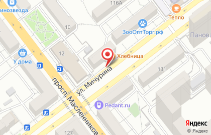 Эля на улице Мичурина на карте