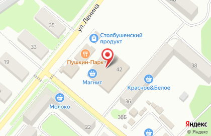 Супермаркет Магнит на улице Ленина на карте