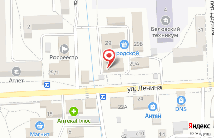 Магазин Дачник на улице Ленина на карте