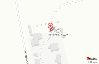 Копейский ДОК на улице Шишкина на карте
