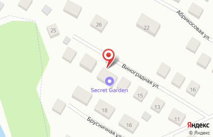 Фотостудия Secret Garden на Виноградной улице на карте
