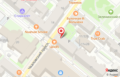 Ветеринарная Аптека на Чкаловском проспекте на карте