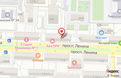 Зооцентр на проспекте Ленина на карте