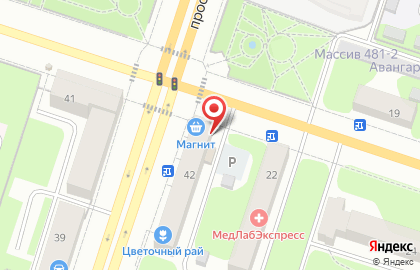 Супермаркет Магнит на проспекте Ленина на карте