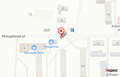 Компания Мясной гурман на Молодёжной улице на карте
