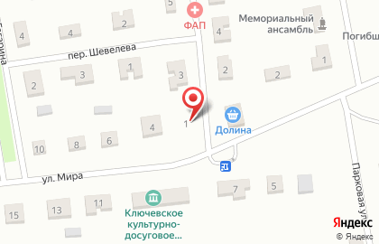 Шадринская центральная районная больница на улице Мичурина на карте