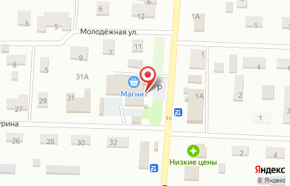 Супермаркет Магнит на улице Мичурина на карте