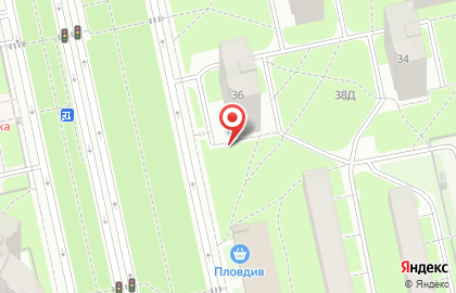 Росток на карте