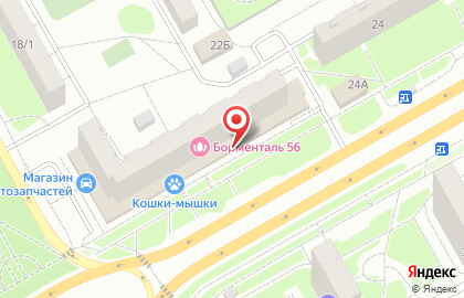 Магазин канцтоваров в Оренбурге на карте