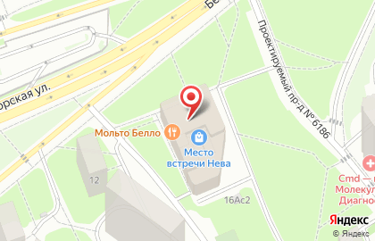 MOS RUSSцвет на карте